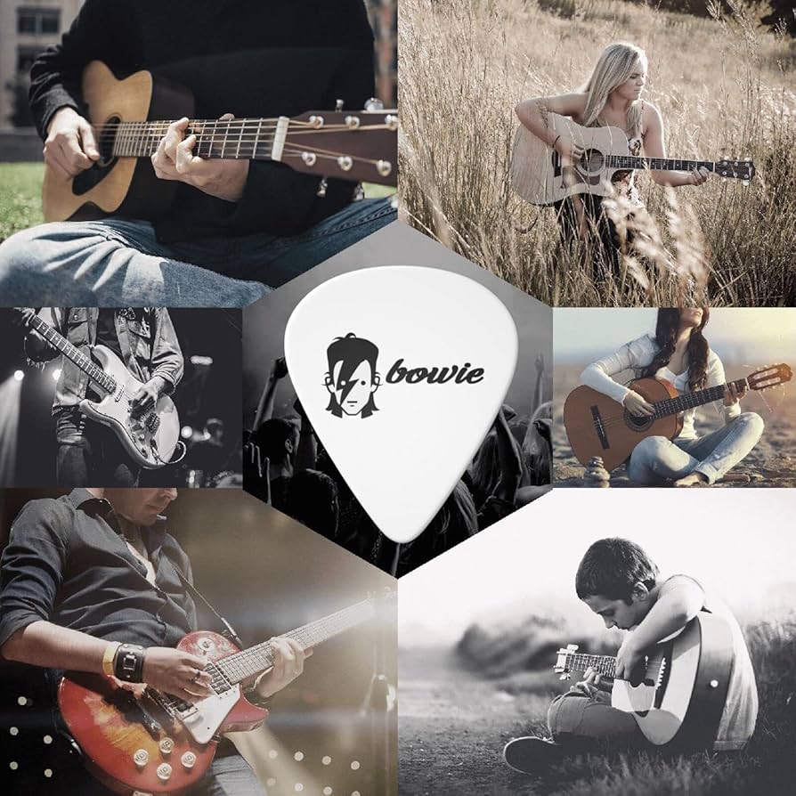 高品質】 David Bowie デヴィッド・ボウイ 日本公演 ギターピック